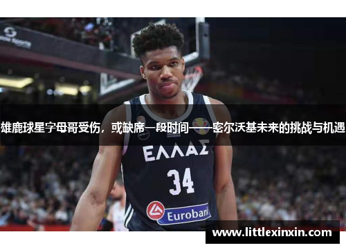 雄鹿球星字母哥受伤，或缺席一段时间——密尔沃基未来的挑战与机遇