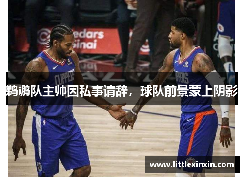 鹈鹕队主帅因私事请辞，球队前景蒙上阴影