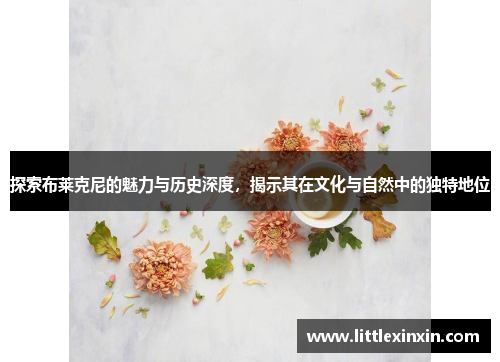 探索布莱克尼的魅力与历史深度，揭示其在文化与自然中的独特地位