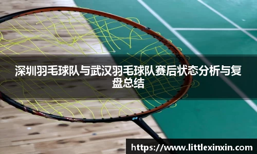 深圳羽毛球队与武汉羽毛球队赛后状态分析与复盘总结
